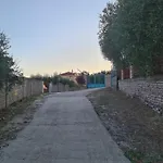 Wooden *